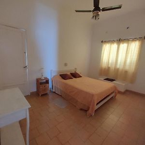 Limon Dulce Hostel